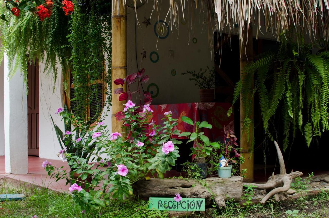 Hostal Corazon De Tagua Palomino Buitenkant foto