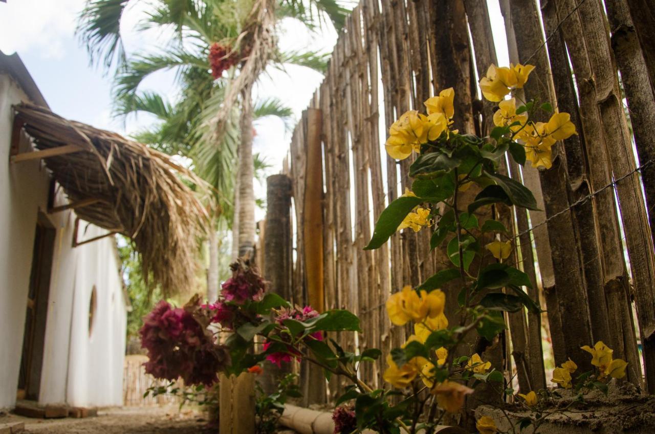 Hostal Corazon De Tagua Palomino Buitenkant foto