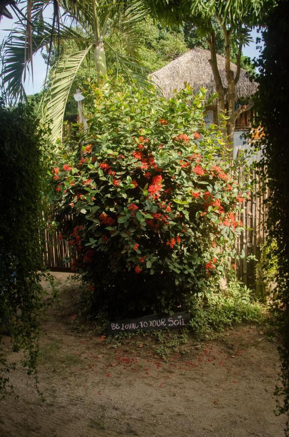 Hostal Corazon De Tagua Palomino Buitenkant foto